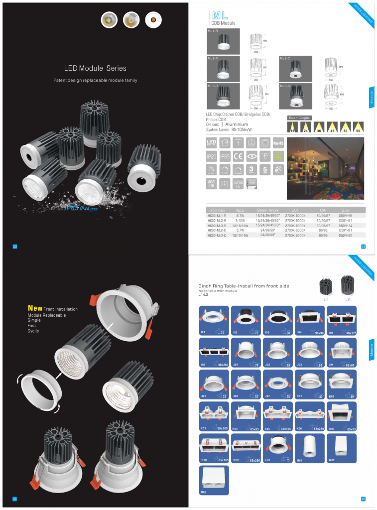Led module light