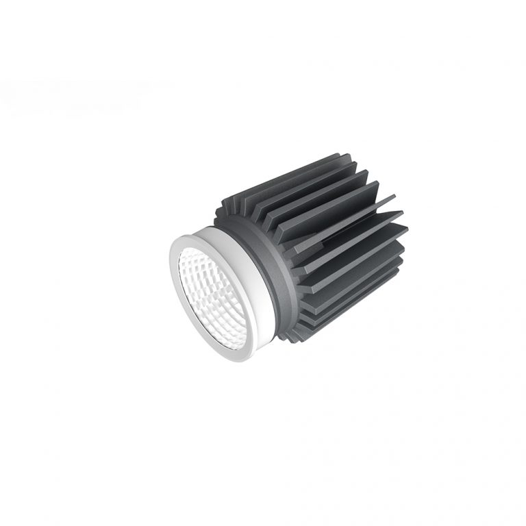 LED Module Downlight