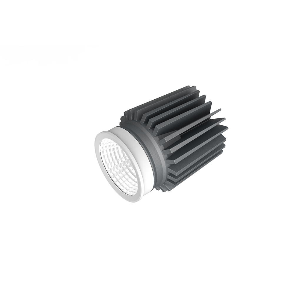 LED Module Downlight