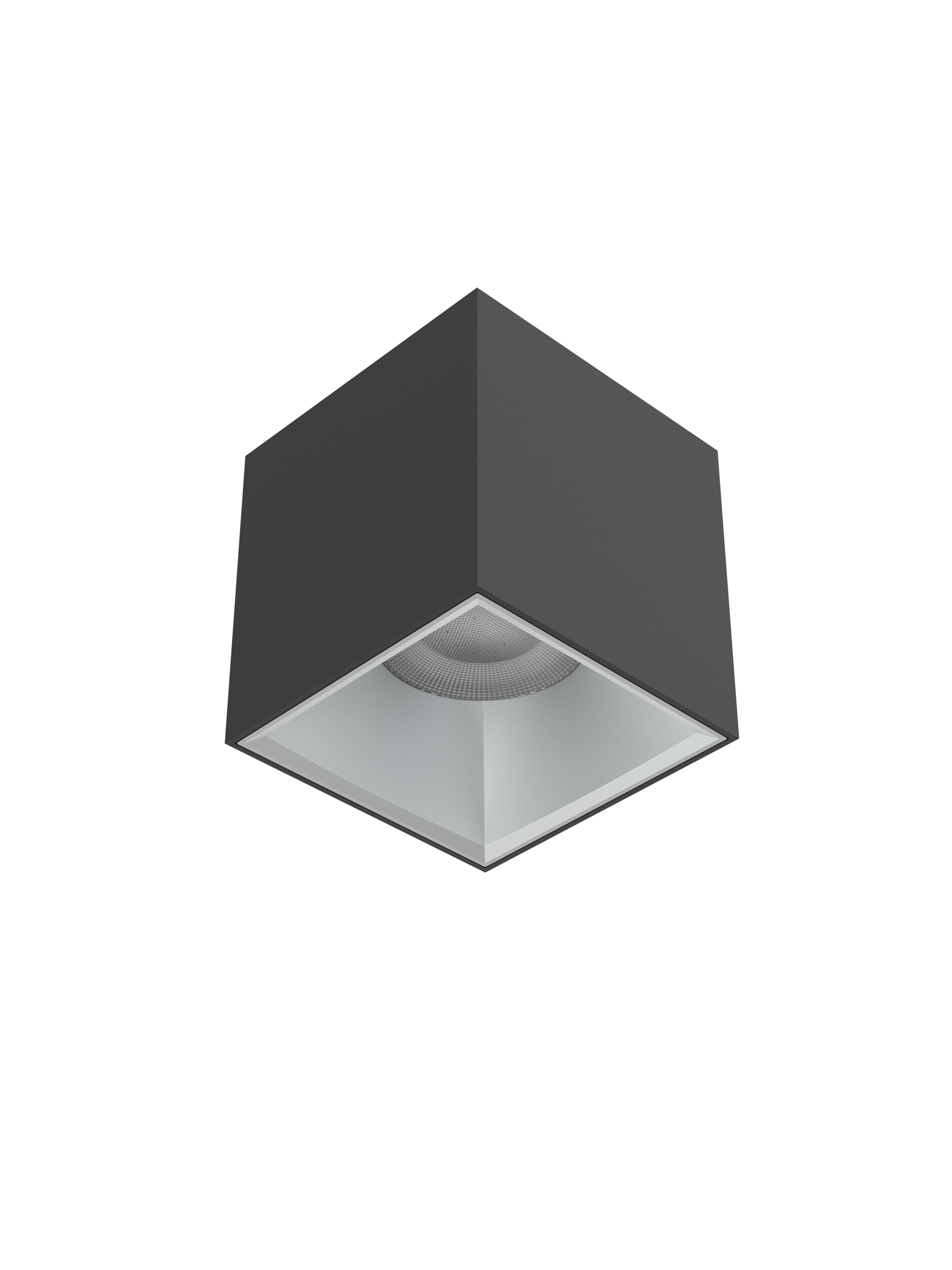 Ceiling light for indoor and outdoor