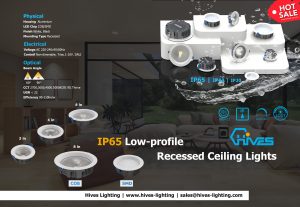 IP65 LED ceiling light